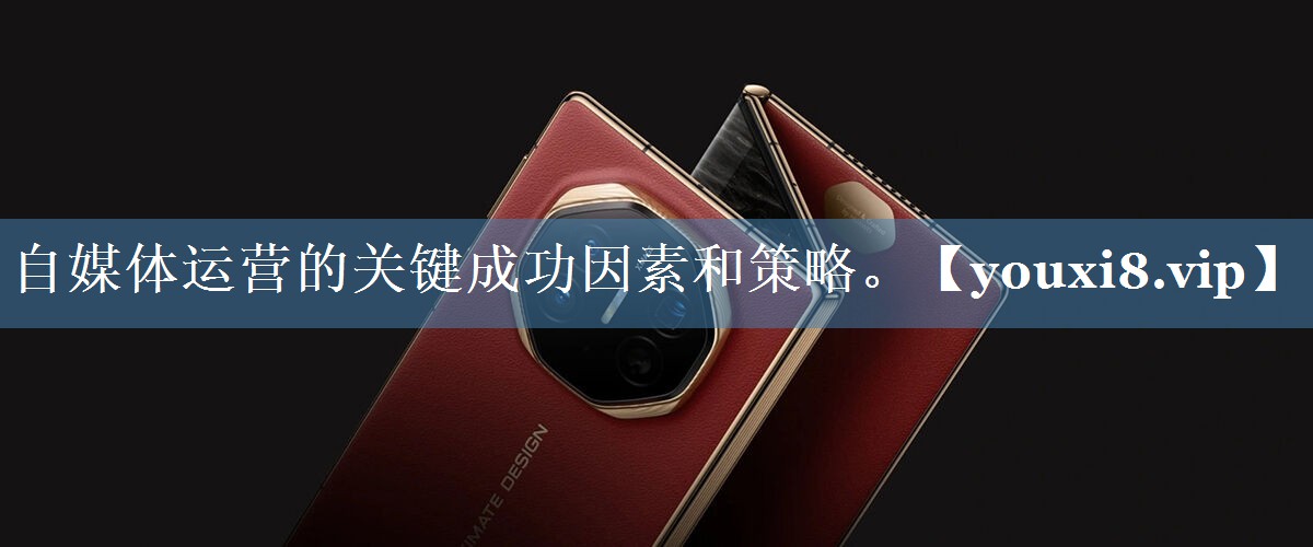 自媒體運營(yíng)的關(guān)鍵成功因素和策略。