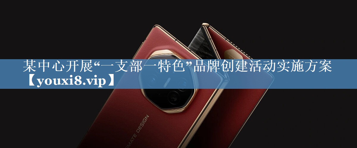 某中心開(kāi)展“一支部一特色”品牌創(chuàng  )建活動(dòng)實(shí)施方案