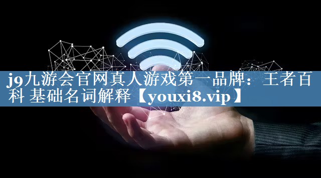 王者百科 基礎名詞解釋