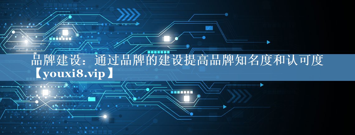 品牌建設：通過(guò)品牌的建設提高品牌知名度和認可度