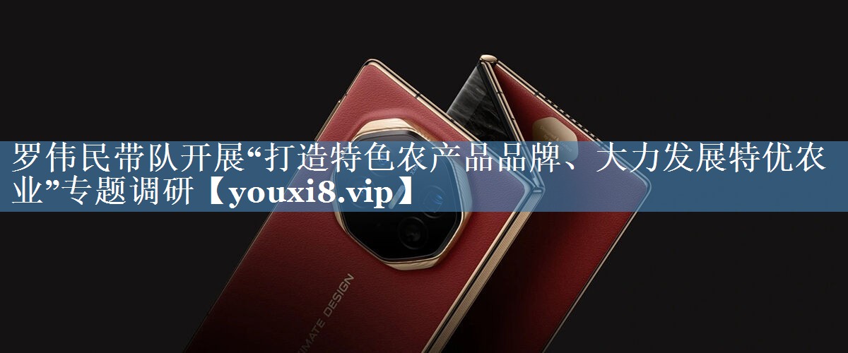 羅偉民帶隊開(kāi)展“打造特色農產(chǎn)品品牌、大力發(fā)展特優(yōu)農業(yè)”專(zhuān)題調研