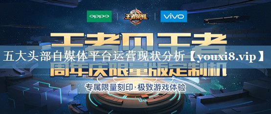 五大頭部自媒體平臺運營(yíng)現狀分析