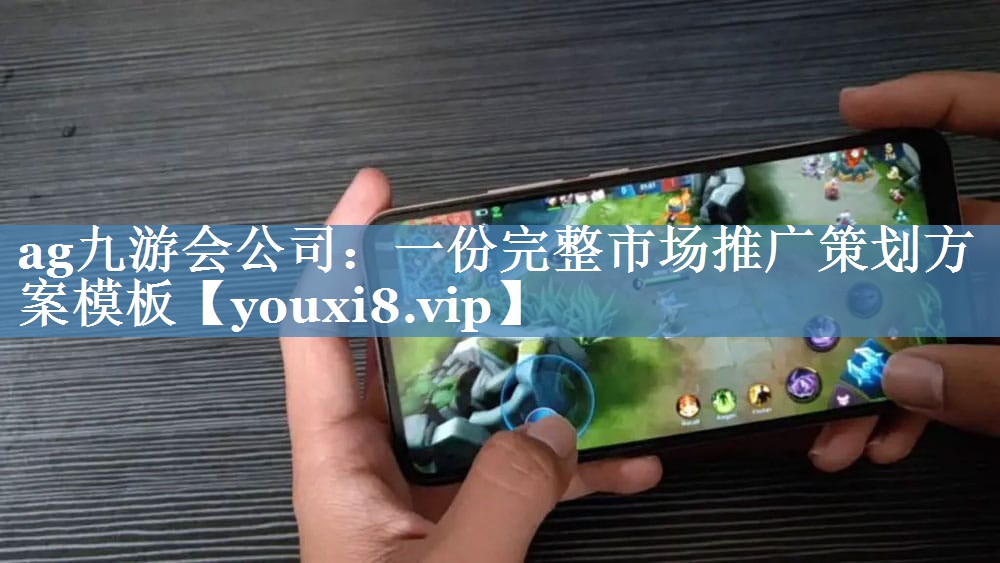 一份完整市場(chǎng)推廣策劃方案模板